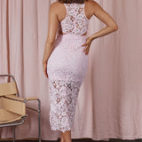 Fiorentina Lace Overlay Midi Dress Blush