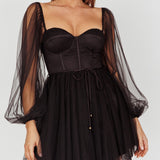 Fairytale Dream Sheer Sleeve Mini Dress Black