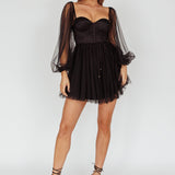 Fairytale Dream Sheer Sleeve Mini Dress Black