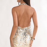 Maison Luxe Cowl Neck Sequin Mini Dress Silvernude
