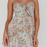 Flower Child Bust Tie Ruffle Trim Dress Roses Blue