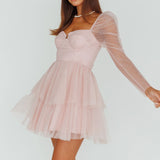 Veola Long Sleeve Tulle Mini Dress Blush