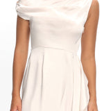 Tova Draped One-Shoulder Maxi Dress Champagne