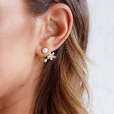 Dakota Pearl Earrings Gold