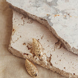 Pippy Shell Earrings Gold