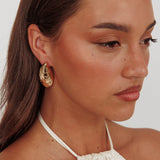 Pippy Shell Earrings Gold