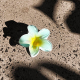 Ayni Frangipani Claw Clip Blue