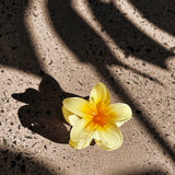 Ayni Frangipani Claw Clip Yellow