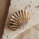 Palm Beach Shell Clip Gold