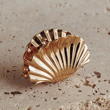 Palm Beach Shell Clip Gold