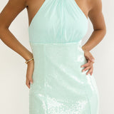 Wilma Sequin Bodice Maxi Dress Mint