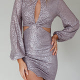 La Discotheque Long Sleeve Sequin Mini Dress Silver
