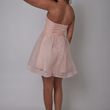 La Vie En Rose Strapless A-Line Mini Dress Baby Pink