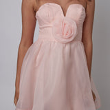 La Vie En Rose Strapless A-Line Mini Dress Baby Pink