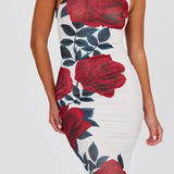 Desiree One Shoulder Mesh Maxi Dress Rose